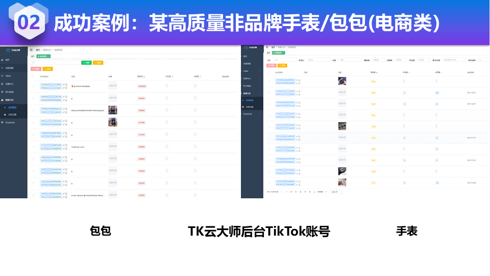 时尚配饰电商，TikTok矩阵带货业绩翻倍 - 展示 2